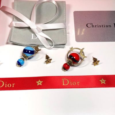  Christian Dior Blue Earrings CDJW019