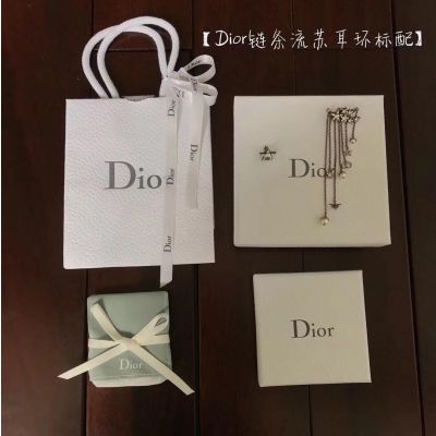 Christian Dior Silver Tassel Earring CDJW047