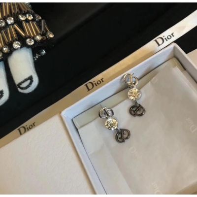 Christian Dior Diamonds Silver Earrings CDJW003
